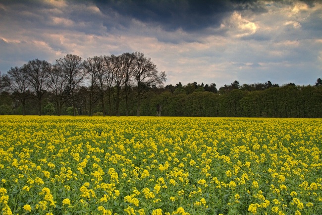 img-8810-hdr-ji-kopie.jpg
