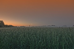 Ein Morgen nähe Lübtheen(21.05.2017)