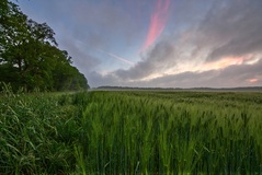 So Morgens in Neu-Lübtheen am (25.05.2017)