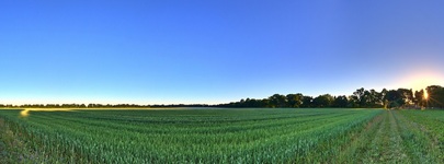 Sommersonnenwende am Morgen 2017