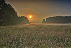 Nähe Neu-Lübtheen am Morgen(18.06.2017)