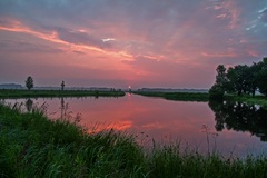 Morgens in den Rögnitzwiesen(15.07.2017)