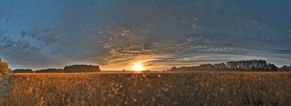 Nähe Neu-Lübtheen(16.07.2017)