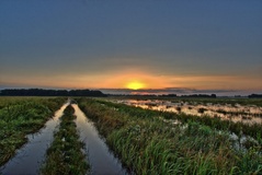 Sommerhochwasser in den Rögnitzwiesen(28.07.2017)