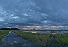 Blaue Stunde in den Rögnitzwiesen.Am Rande der Griesen Gegend.Zur Zeit Wasser ohne ende.(31.07.2017)