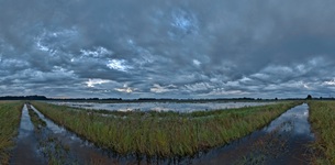 Rögnitzhochwasser (07.2017)Mit Watthose unterwegs.Für mich ist es so das erste mal,Fotos mit Watthose und Stativ  zu machen.Der Schöpfer.