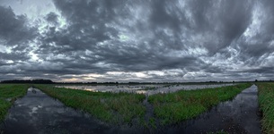 Wasser satt in den Rögnitzwiesen.(31.07.2017) HDR wie immer