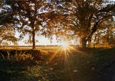 Der Mühlenweg von Lübtheen im Oktober 2017.