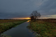 Der Simmergraben am Morgen.(19.11.2017)