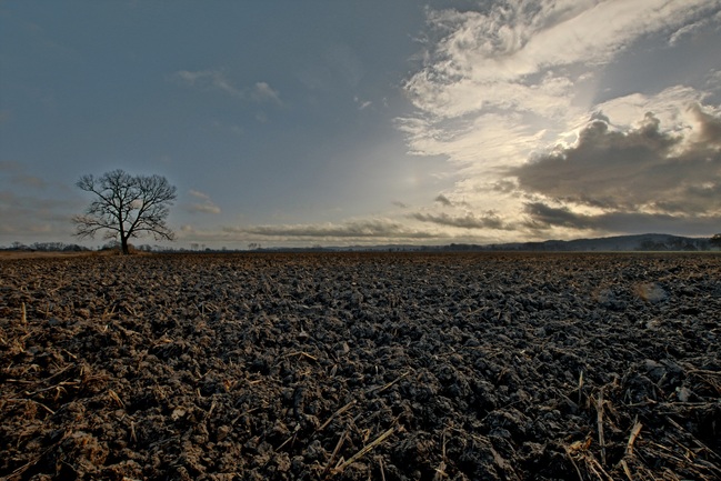 elbe-3-kopie.jpg