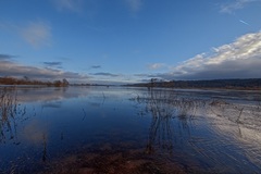 Die Elbe am (17.12.2017) Die Elbefotos sind für mich immer was besonderes. Dort habe ich schon mit 18 Jahre gestanden.Der Schöpfer.