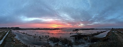 Morgens in den Rögnitzwiesen. 11.02.2018)