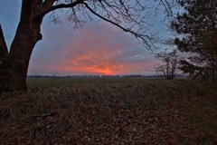 Der Mühlenweg am Abend.(19.02.2018)