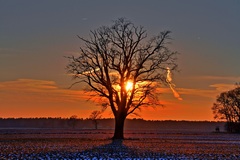 Schönes Licht aber bitter Kalt.Nähe Benz bei Lübtheen.Gegenlichtfotos meine Welt.Der Schöpfer.