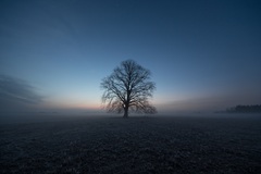 Morgens nähe Lübtheen (25.03.2018)