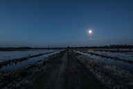  Morgens in den Rögnitzwiesen  (02.04.2018)