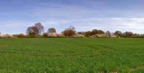 Nähe Neuhaus- Elbe