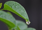 Eine Ruhe in der Natur. Einfach  nur genießen.