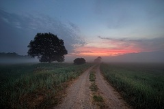 Morgens im Rögnitztal