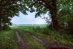 Eine einfahrt in ein kleines Fotoparadies.