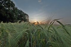 So ein Tag im Leben. Einfach  was schönes festhalten und  (Teilen). 09.06.2018