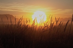 Der Nebel wirkt wie ein Filter.Nicht etwas vorschrauben.Einfach abwarten und abdrücken.(29.04.2018)